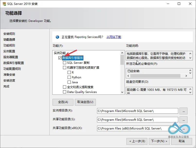 SQL Server 2019 Feature Selection Interface: Only check 'Database Engine Services' (Configuration Manager required component)