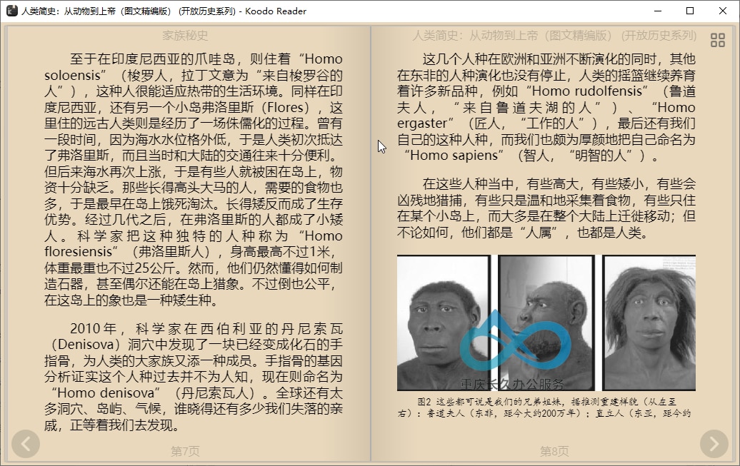 Koodo Reader 琥珀黄主题阅读界面：温暖色调与精细文字渲染