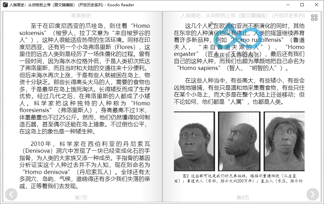 Koodo Reader 双页模式阅读界面：对称排版与自然翻页效果