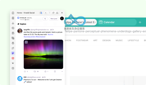 Web 面板