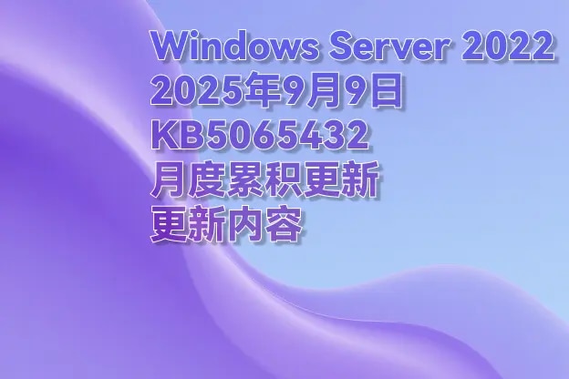 Windows Server 2022 2025年9月 KB5065432 月度补丁更新内容