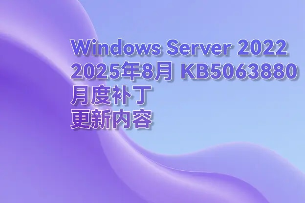 Windows Server 2022 2025年8月 KB5063880 月度补丁更新内容