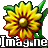 Imagine (Image & Animation Viewer)